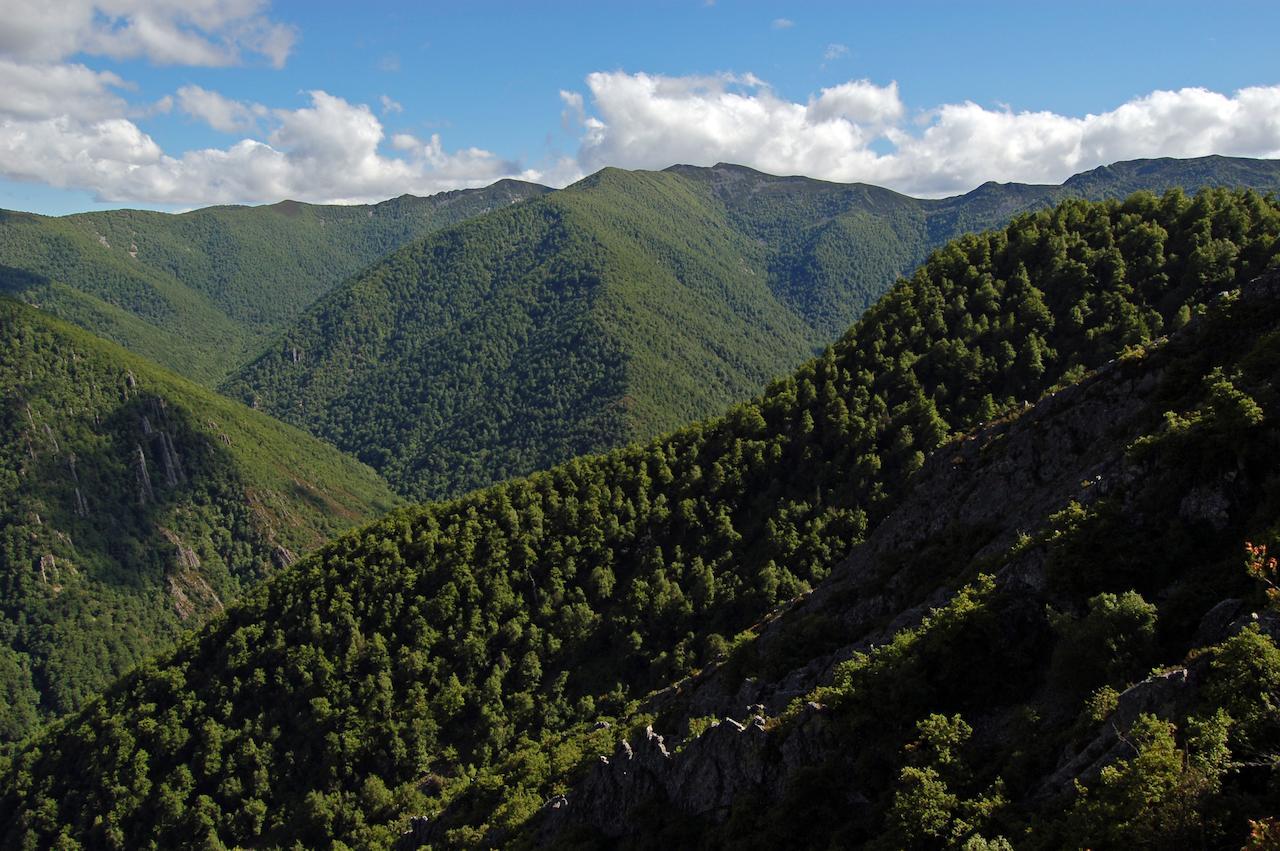 Hotel El Mirador De Fuentes Del Narcea Moncó Exteriér fotografie